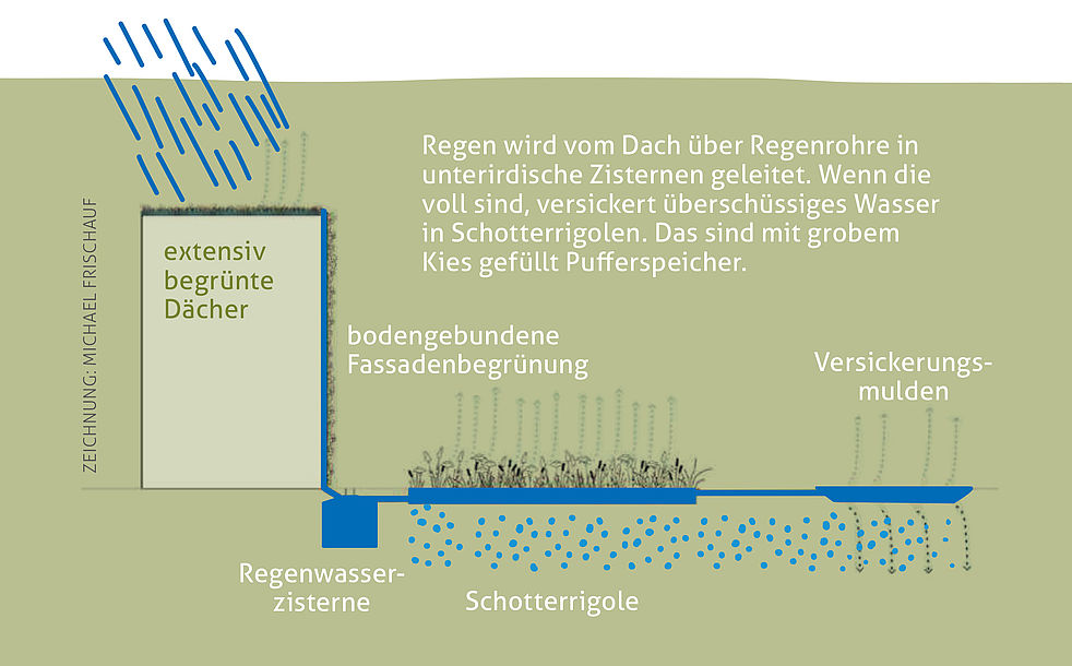 Schaubild erklärt die Funktion von Rigolen